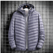 Sheer hooded down jacket