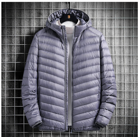Sheer hooded down jacket